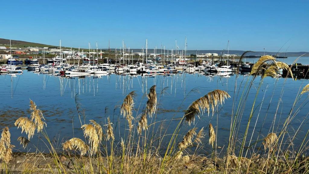 Puffin Cove - Kirkwall - Photo 3